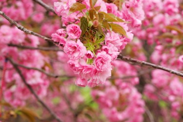 温州瑞安线下个人借款平台一站式服务，轻松解决资金难题