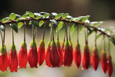 温州瑞安零用贷短借：轻松解决临时资金需求