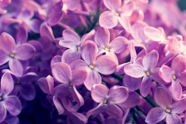 温州瑞安企业急用钱贷款攻略：快速融资解燃眉之急